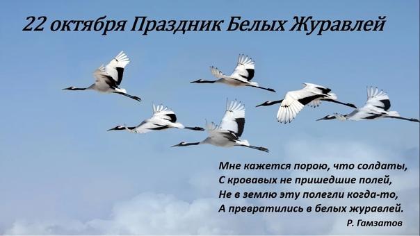 День белых журавлей.